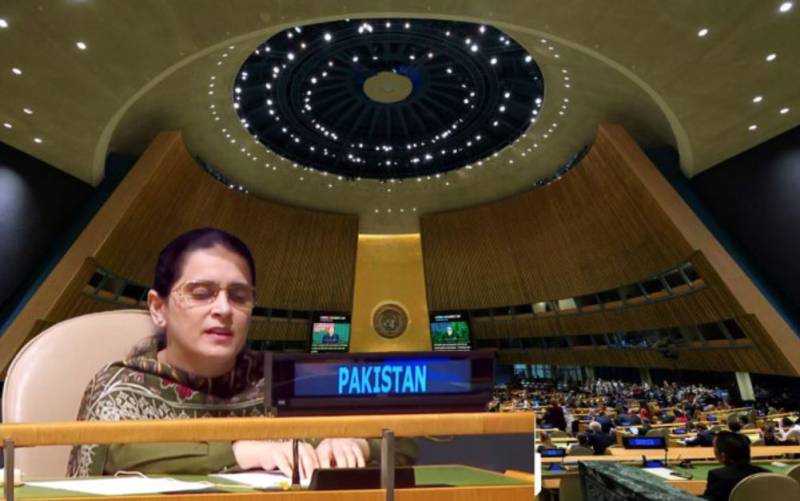 At UN, Pakistan slams Indian sponsorship of militancy and aggression in South Asia
