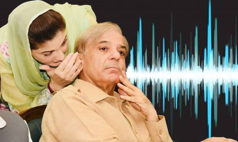 Alleged audio leak of PM Shehbaz reveals request to ‘facilitate’ Maryam Nawaz’s son-in-law