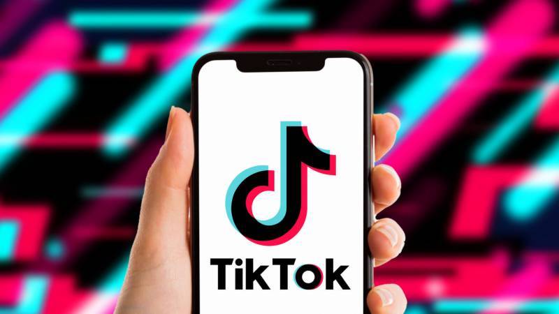 TikTok removes 113 million videos to protect minors on the platform 