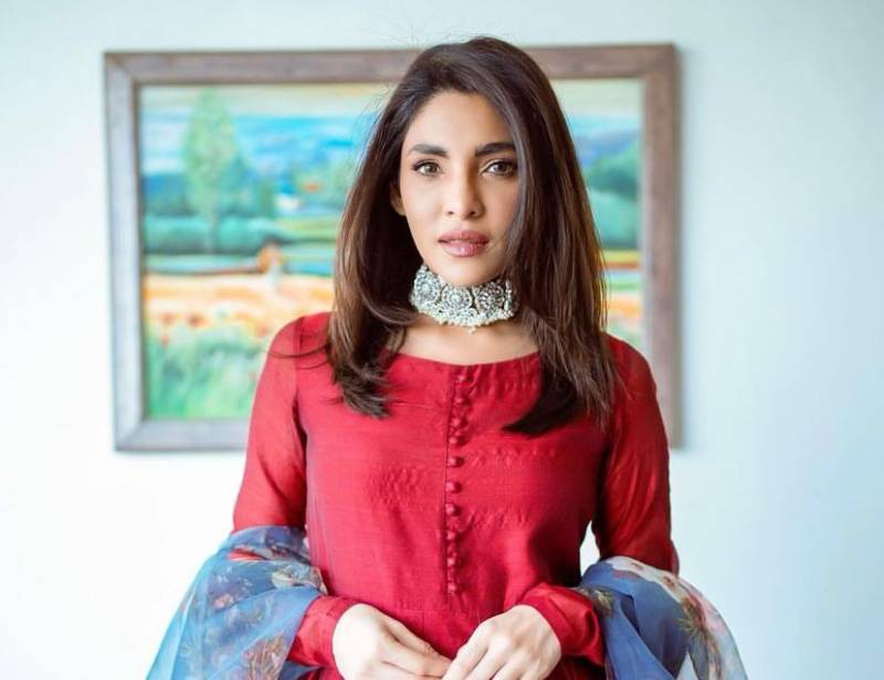 Zhalay Sarhadi leaves fans amused with new funny video