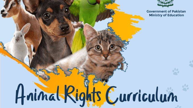 Pakistan set to launch first ever animal rights curriculum 