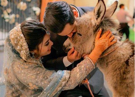 Internet in fits as Pakistani YouTuber gifts a donkey to wife on wedding