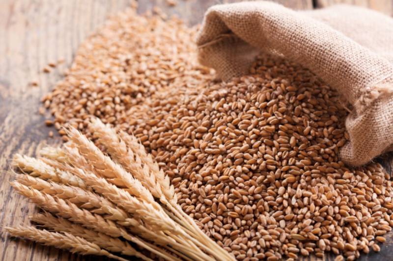 Wheat price reaches all-time high in Pakistan