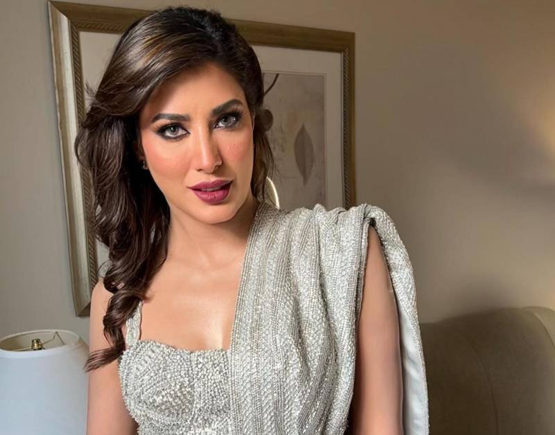 Mehwish Hayat turns up the heat on the internet with latest picture