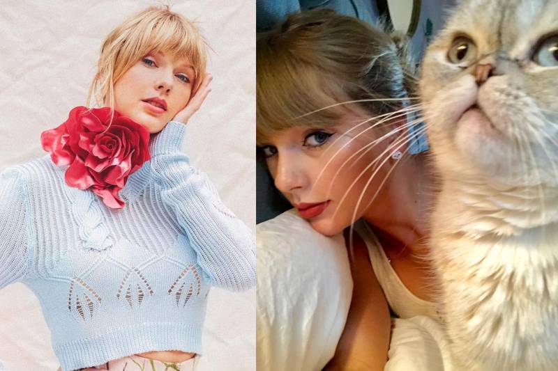 Taylor Swift's $97 million worth cat has the internet shook