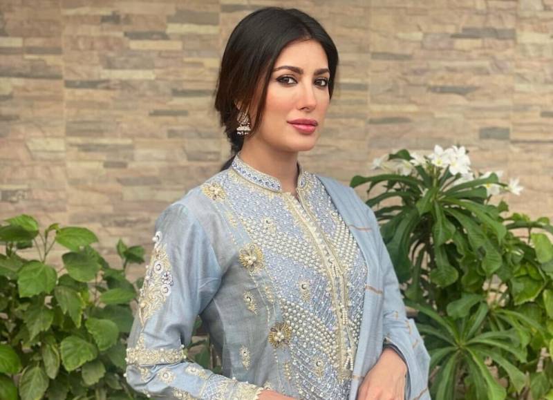Mehwish Hayat claps back at troll for slandering her character and work ethic