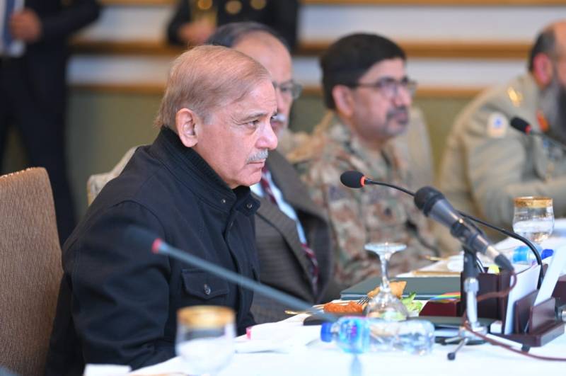 PM Shehbaz says Pakistan ready to complete IMF programme without further delay