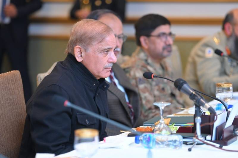 PM Shehbaz for implementation of National Action Plan with full force as terror revisits Pakistan