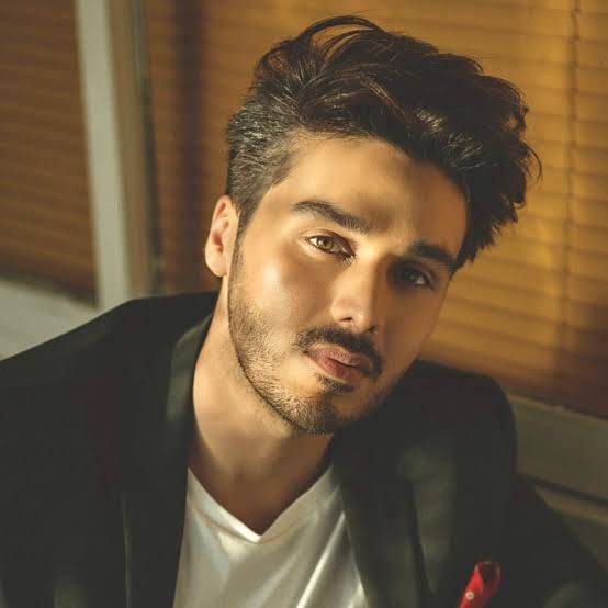 Ahsan Khan leaves fans rolling with laughter in new video