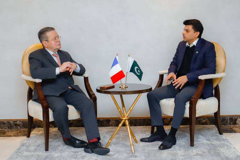 French ambassador meets SAPM Jawad Sohrab Malik