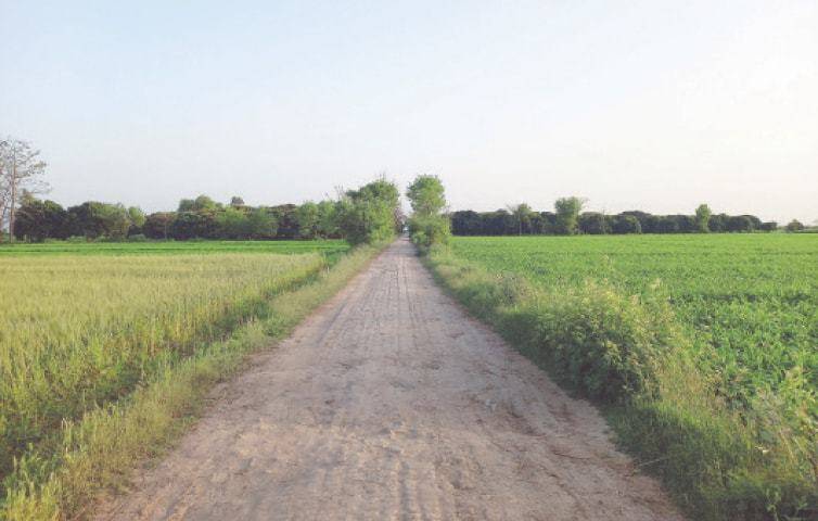 Punjab interim govt hands over more than 45,000 acres of land to Pakistan Army