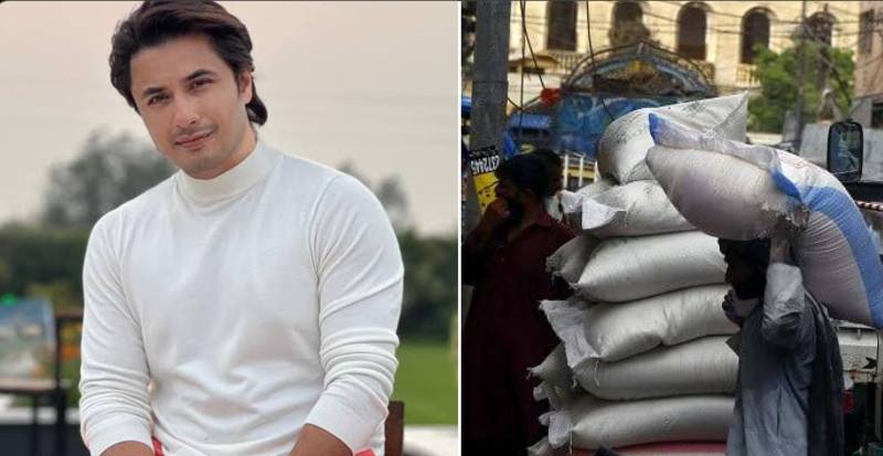 Ali Zafar expresses outrage over mismanagement in free flour distribution