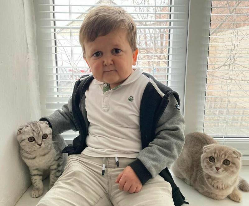 Russian social media sensation sparks controversy by 'hitting' his cat