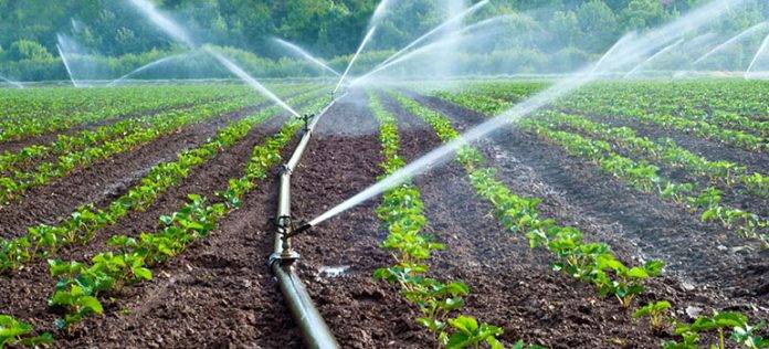 Institutionalizing Evapotranspiration: A Game-Changer for Pakistan's Irrigated Agriculture