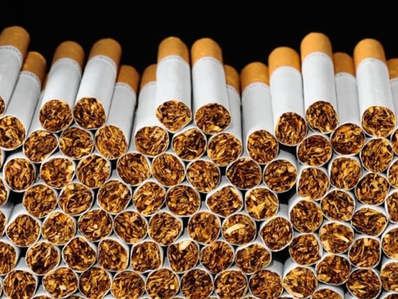 Activists, journalists join hands to safeguard youth from smoking
