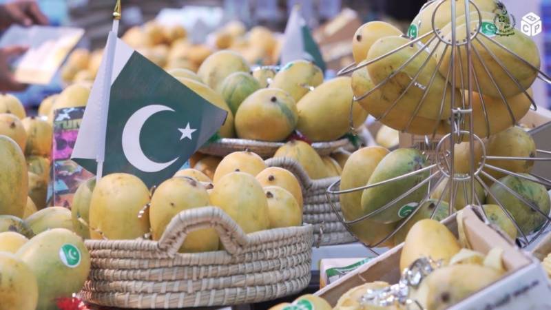 Pakistani mangoes reach China via new cargo route