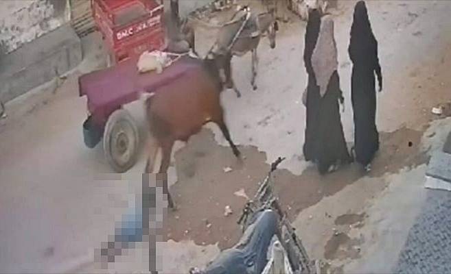 Qurbani bull kills minor boy by dragging him in Karachi streets (VIDEO)