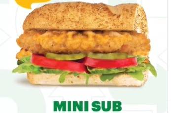 Subway introduces 3-inch sandwich for inflation-bitten Pakistani customers 