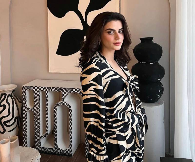 Zubab Rana turns heads as she poses in a chic zebra set