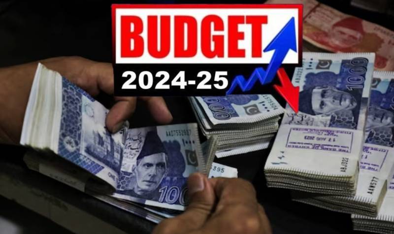 Budget 2024-25: Salary raise update for Punjab government employees