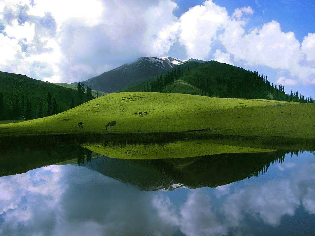 sheosar-lake-deosai-plains