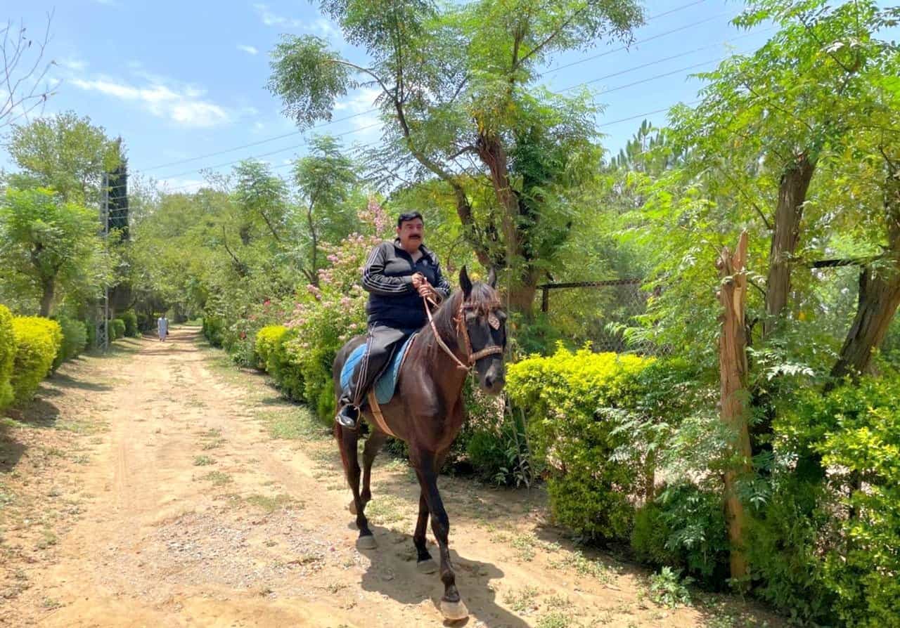 Pakistani Ertugrul Interior Minister Sheikh Rashid s horse ride video ...