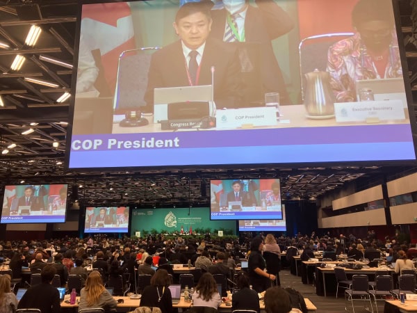 A peace pact with nature : More than 190 countries sign historic ...