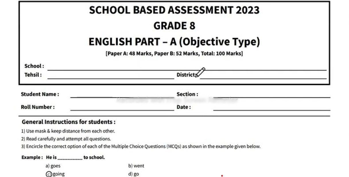 APPLICATION FOR GRADE 8 2023 visual data 5