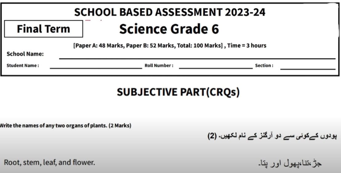 School Based Assessment Grade 6 Science Paper 2024