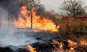 Massive Forest Fire Ravages Abbottabad’s Galyat Region