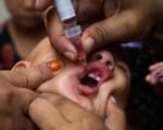 Gaza polio