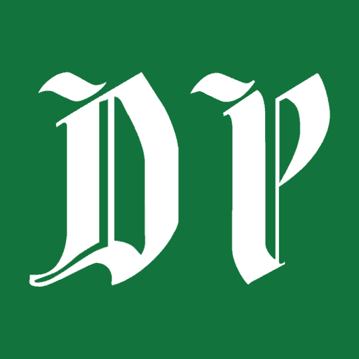 Daily Pakistan English News logo