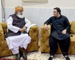 Bilawal Discusses Constitutional Amendment With Fazlur Rehman