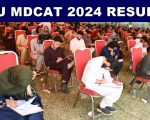 Kmu Mdcat 2024 Results Announced Check Results Online