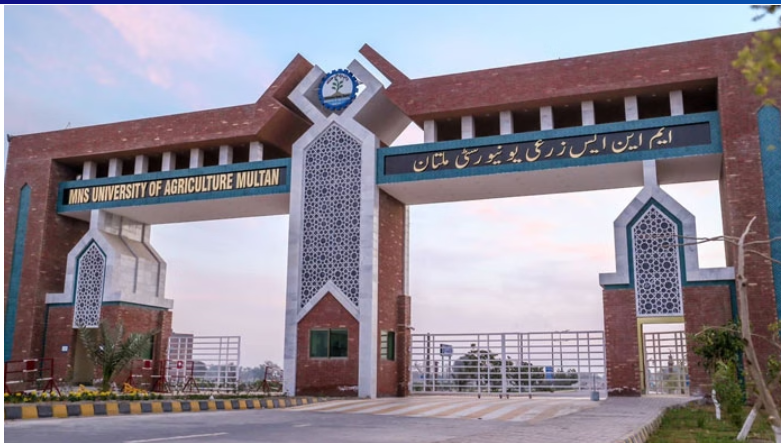 Multans Nawaz Shareef University Shut Down Following Students Death