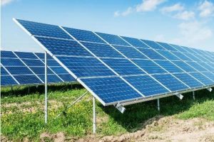 Punjab Launches Free Solar Panel Scheme Benefiting 100,000 Households