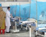 Dengue Cases Surge In Punjab 149 New Infections Reported In 24 Hours