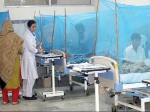 Dengue Cases Surge In Punjab 149 New Infections Reported In 24 Hours