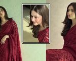 Durefishan Saleem Turns Heads In Gorgeous Red Saree Video