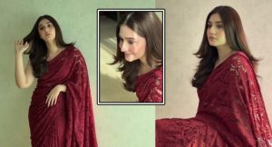 Durefishan Saleem Turns Heads In Gorgeous Red Saree Video