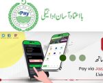 E Pay Punjab Collects Over Rs 600 Billion In Tax Revenue