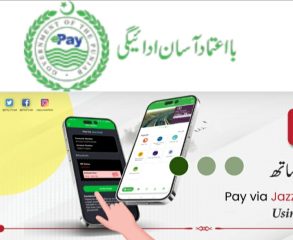 E Pay Punjab Collects Over Rs 600 Billion In Tax Revenue