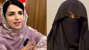 Mashal Yousafzai Sent Packing After Bombshell Tv Interview