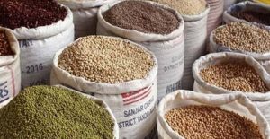 Prices Of Pulses Drop Significantly In Pakistan Check New Rates