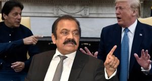 Rana Sanaullah Calls Out Donald Trump As Liar Compares Him To Imran Khan