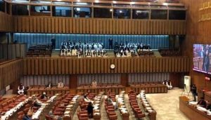 Senate Body Approves Bill To Penalise Promotion Of Zionism