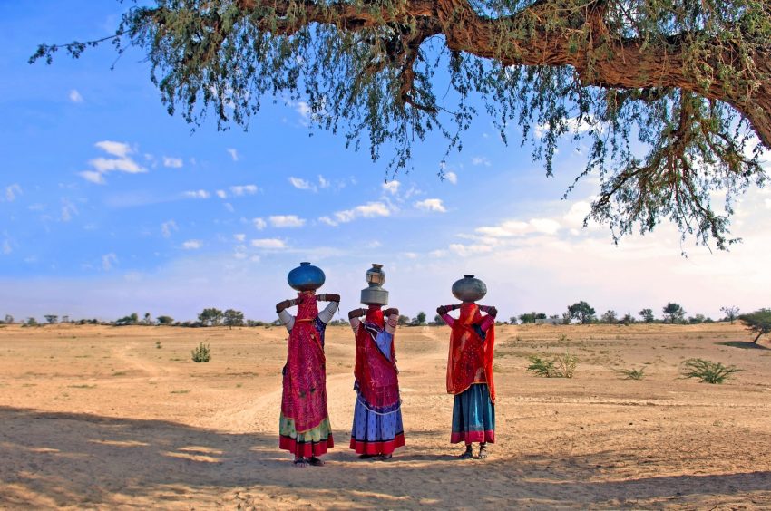 Two Sisters Found Hanging From Tree In Tharparkar