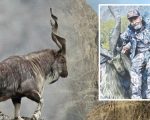 American Hunter Pays Record Rs7 5 Crore To Hunt Markhor In Pakistan