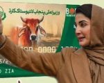 Punjab Cm Maryam Launches Livestock Card For Rural Women