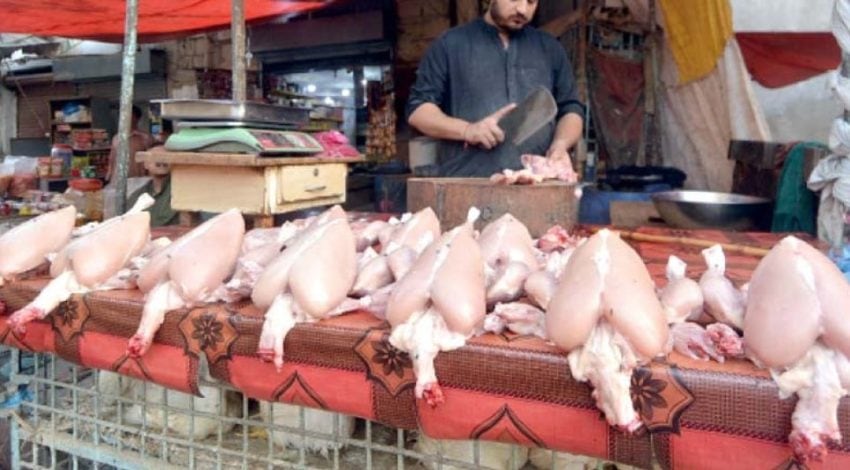 Chicken Meat Price Climbs To Rs900 Per Kg In Punjab Leaving Consumers In Shock